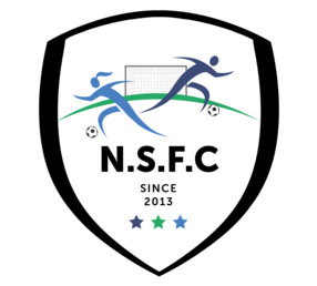 NS5 Logo